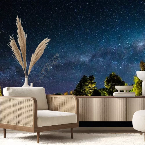 Fototapete Sternenkonstellationen und Wald