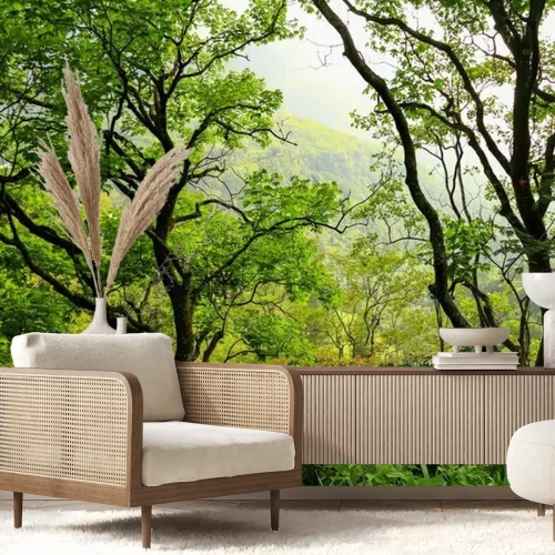 Fototapete Ein Wald in Sri Lanka