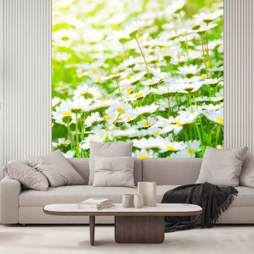 Sticker Gänseblümchen Feldblumen auf Gras