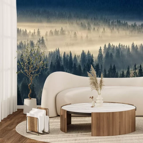Fototapete Nadelwald in nebligen Bergen