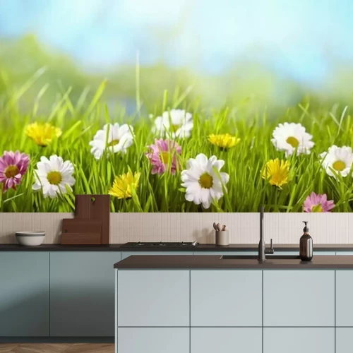 Fototapete Frühlingsblume auf der Wiese