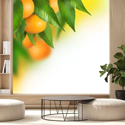 Sticker Reife Mandarinen wachsen . Border Design