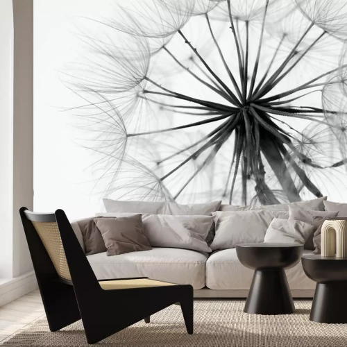 Fototapete Makrofotografische Pusteblume