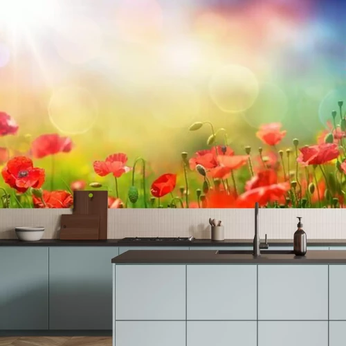 Fototapete Mohnblumen auf einer Wiese im Sonnenlicht