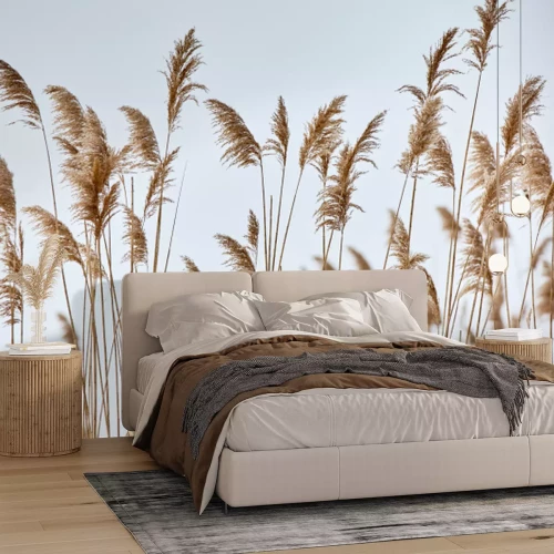 Fototapete Schilfrohr Weht vor einem Himmelblauen Hintergrund