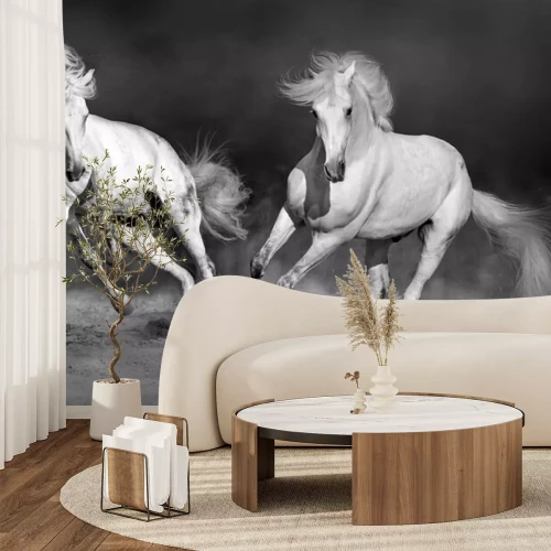 Fototapete Zwei Rösser im Galopp
