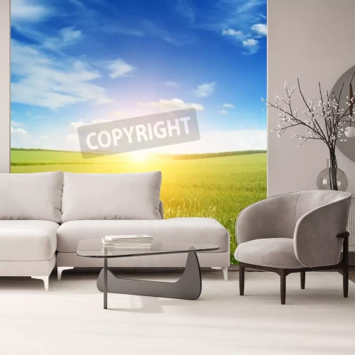 Fototapete Sonnenaufgang auf grüner Wiese