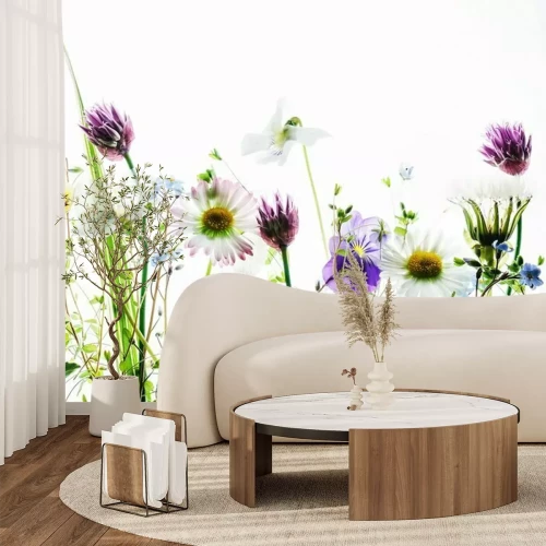 Fototapete Frühlingswildblumen auf weißem Hintergrund