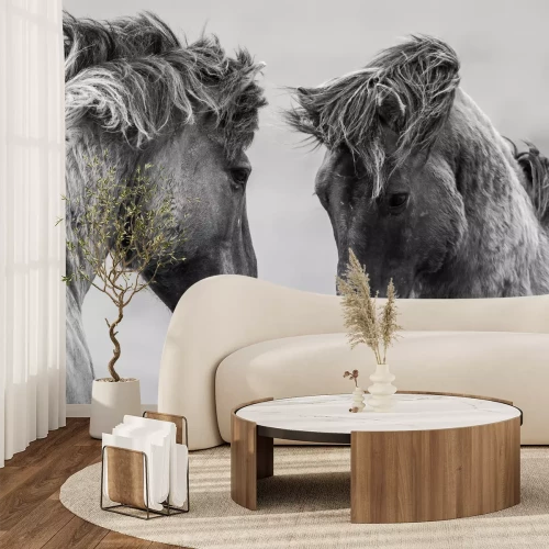 Fototapete Porträt von grauschimmeln