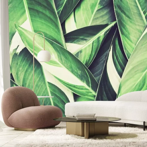 Fototapete Haufen Blätter