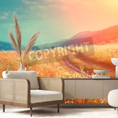 Fototapete Sonnenaufgang über Wiese