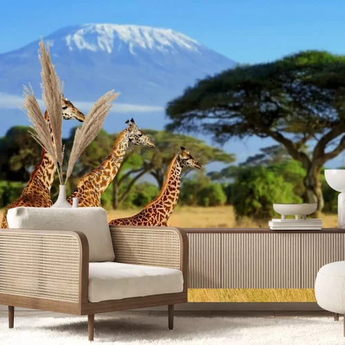 Fototapete Afrikanische Landschaft mit Giraffen und Kilimandscharo