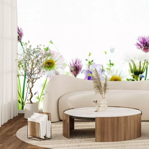 Fototapete Bunte Wildblumen auf hellem Hintergrund