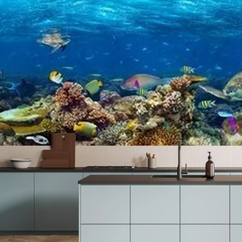 Fototapete Panorama von Korallenriff im Ozean