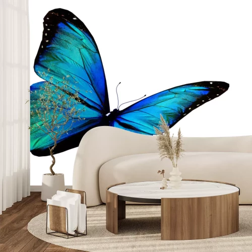 Sticker Türkisfalter