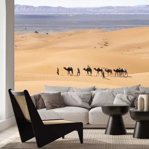 Fototapete Kamele auf Wüstendünen
