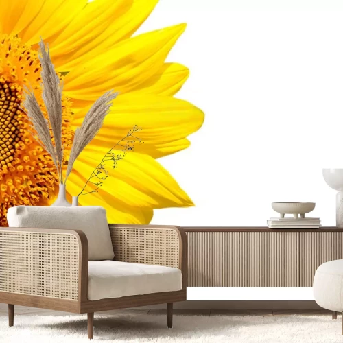 Sticker Sonnenblume auf weißem Hintergrund