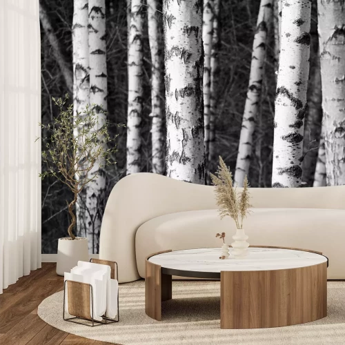 Fototapete Schwarz-weiß Weißfoto von Birkenstämmen