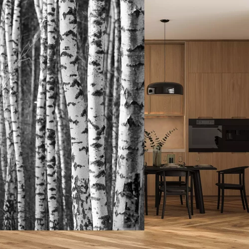 Fototapete Schwarz-weißer Hintergrund mit Birkenstämmen