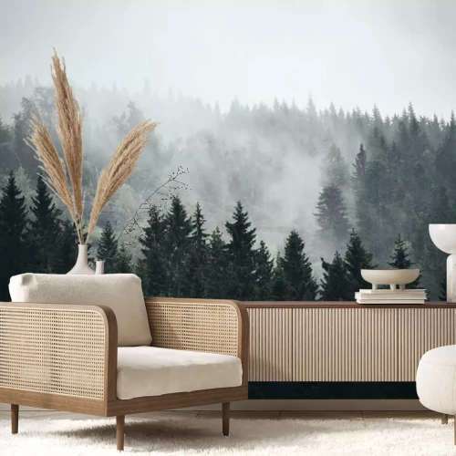 Fototapete Nebel im Norwegischen Wald
