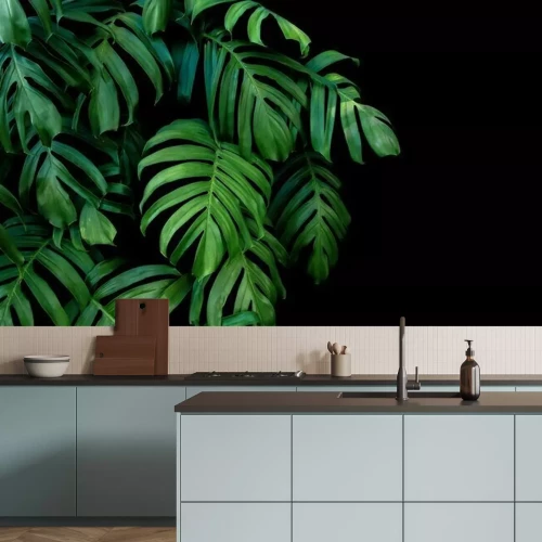 Fototapete Natur aus dem Dschungel auf schwarzem Hintergrund