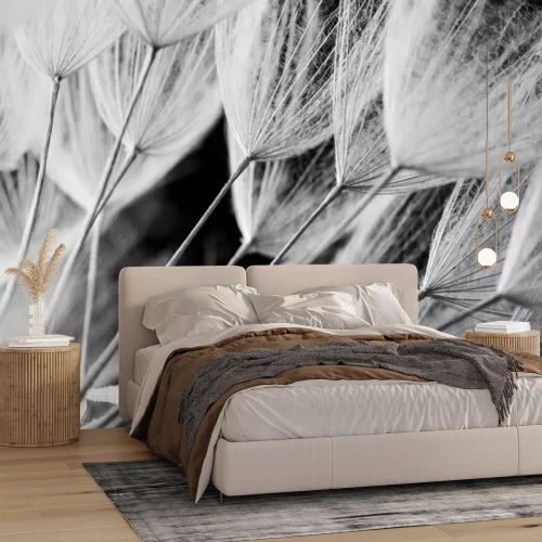 Fototapete Löwenzahnsamen in einer Makrofotografie