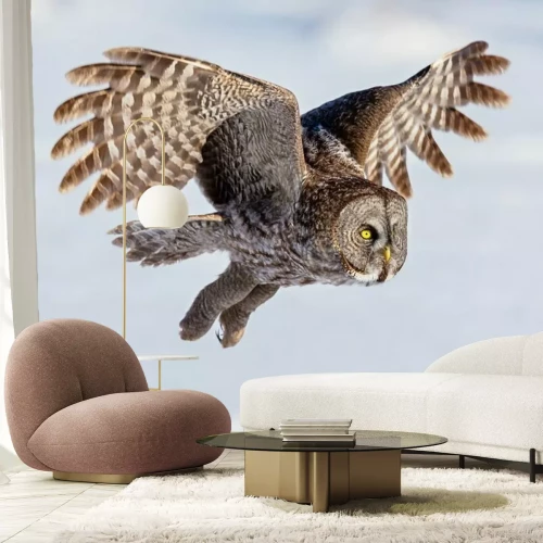 Fototapete Am Himmel fliegende Eule