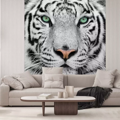 Sticker Nahaufnahme eines grünäugigen tigers