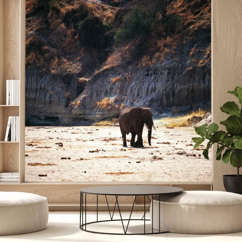 Fototapete Elefant auf einem Berghintergrund