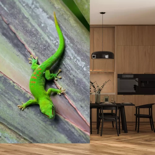 Sticker Tiere hellgrüner Gecko auf Holzboden