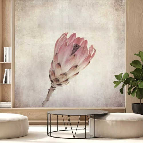 Fototapete Gealterte Fotografie im Shabby Stil