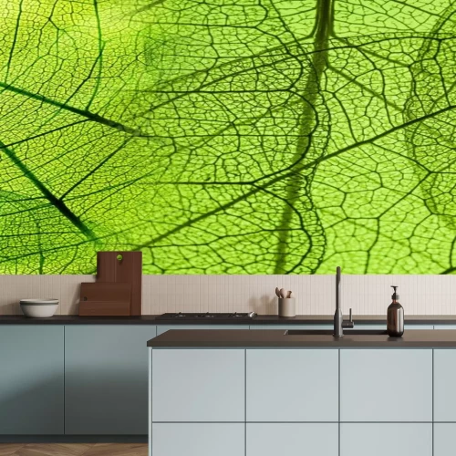 Fototapete Vergrößerte Blattstruktur