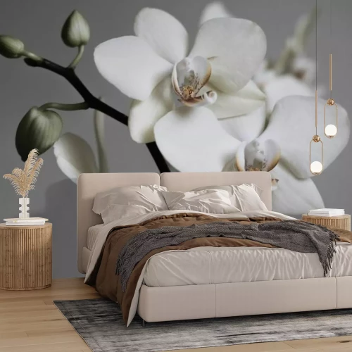 Fototapete Retro weiße Orchideen auf grauem Hintergrund