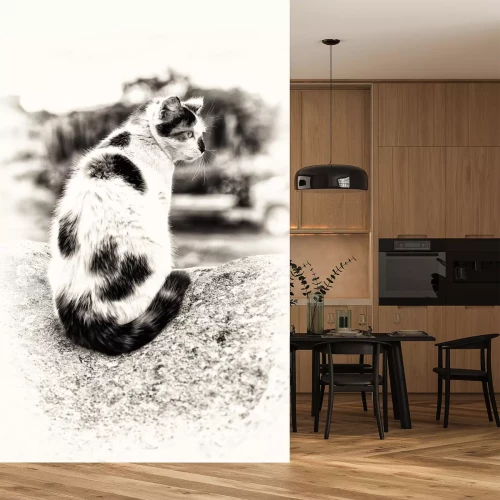 Sticker Katzen Porträt einer schwarz gefleckten Katze mit seitlichem Blick