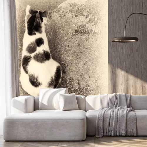 Sticker Katzen Porträt einer rückwärts sitzenden Hauskatze