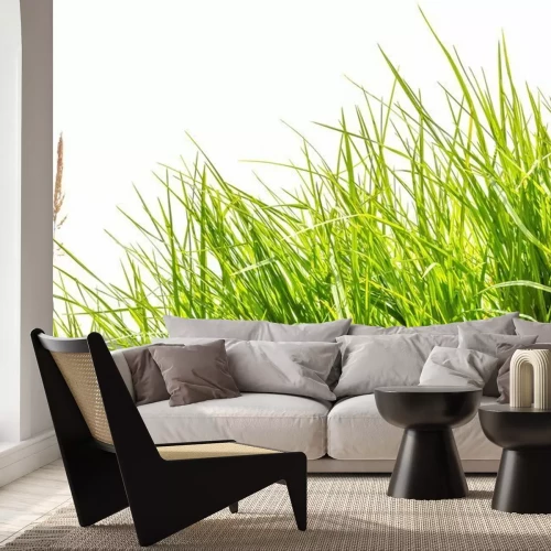 Fototapete Hohes grünes Gras und Berge im Hintergrund