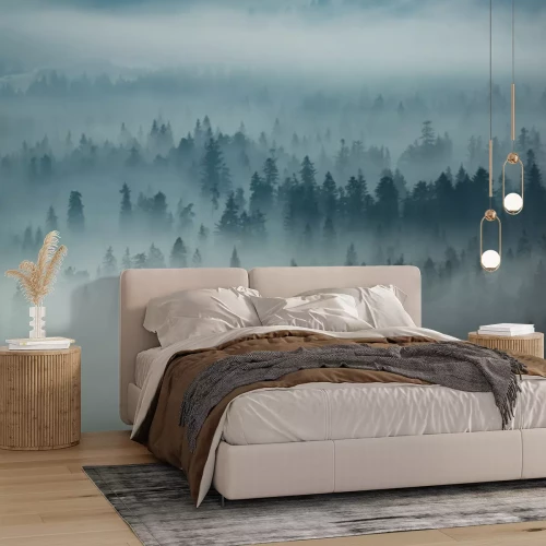 Fototapete Berge Tatra und Wald im Nebel, Zakopane, Polen