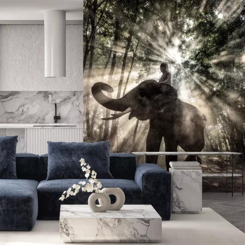 Fototapete Elefant im Sonnenschein