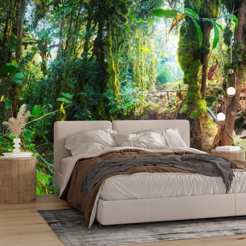 Fototapete Pflanzen des tropischen Dschungels