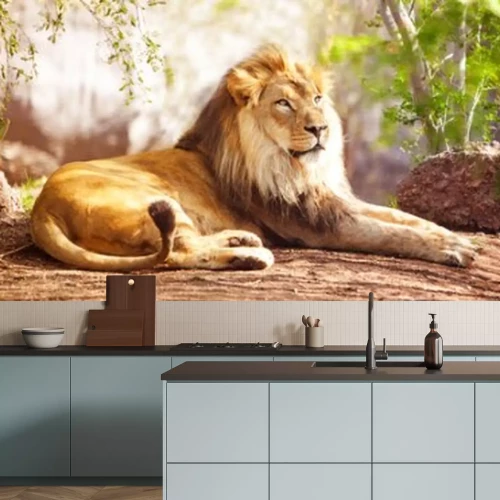 Fototapete Ruhender Löwe