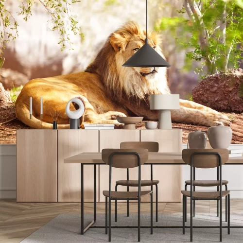 Fototapete Ruhender Löwe