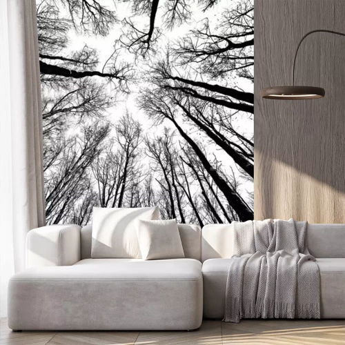 Fototapete Natur schwarz-weiß