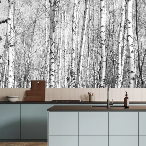 Fototapete Dichter Birkenwald