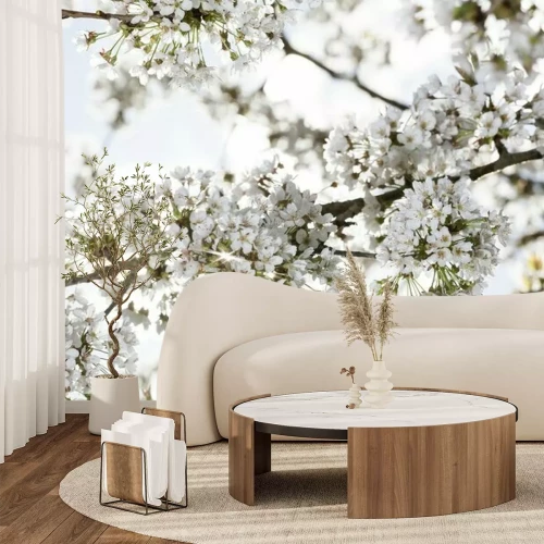 Fototapete Weiße Kirschblüten