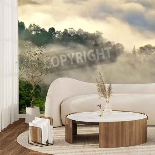 Fototapete Morgennebel im wald