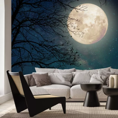 Fototapete Baum im mondlicht