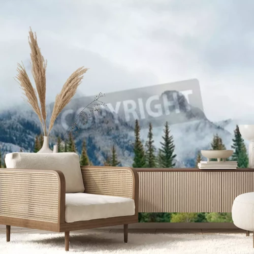 Fototapete Schneebedeckter gipfel im grünen