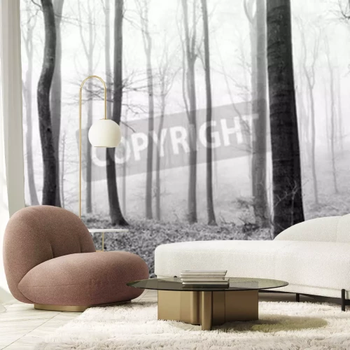 Fototapete Einsame baumstämme