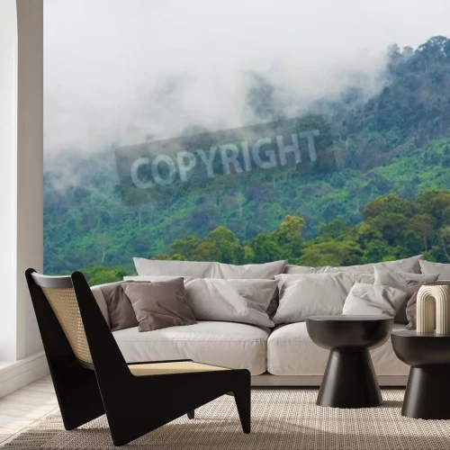 Fototapete Holz in drei grüntönen