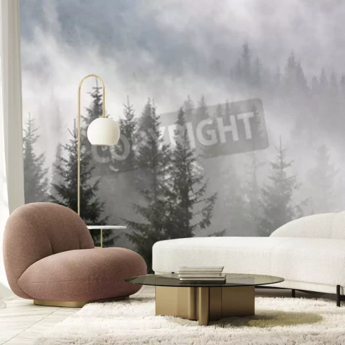 Fototapete Tannenbäume mit nebligen wald im hintergrund